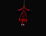 Spiderman-Wallpaper-#4
